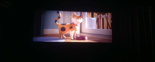 FERYJNY WYPADZIK DO KINA 